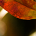 t1